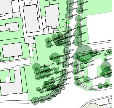 “Censimento del Verde” – Estratto DM 10-03-2020 – Criteri ambientali minimi per il servizio di gestione del verde pubblico e la fornitura di prodotti per la cura del verde.