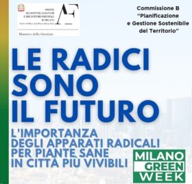 Convegno sulla rizosfera in ambiente urbano